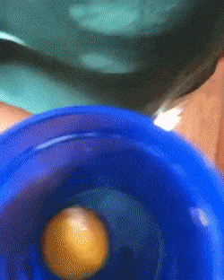 Fails (28 gifs)
