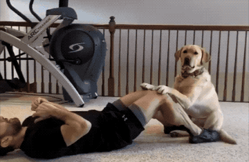Wow GIFs (24 gifs)