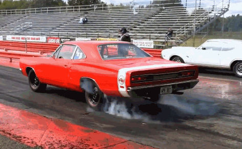 Wow GIFs (24 gifs)
