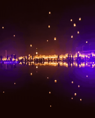 Wow GIFs (24 gifs)