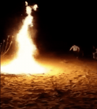 Wow GIFs (24 gifs)