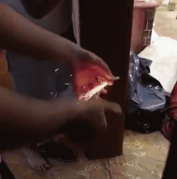 Wow GIFs (24 gifs)