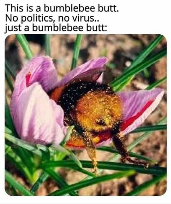 Acid Picdump. Part 2 (95 pics)