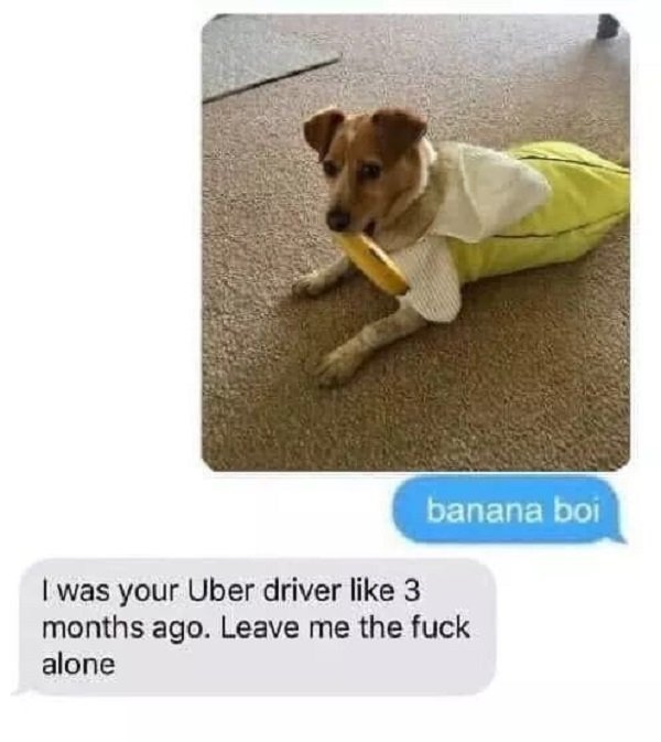 Random Funny Memes (25 pics)