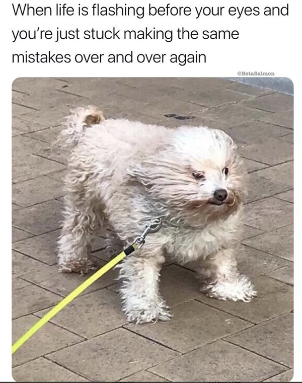 Random Funny Memes (25 pics)