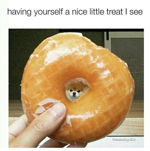Random Funny Memes (25 pics)