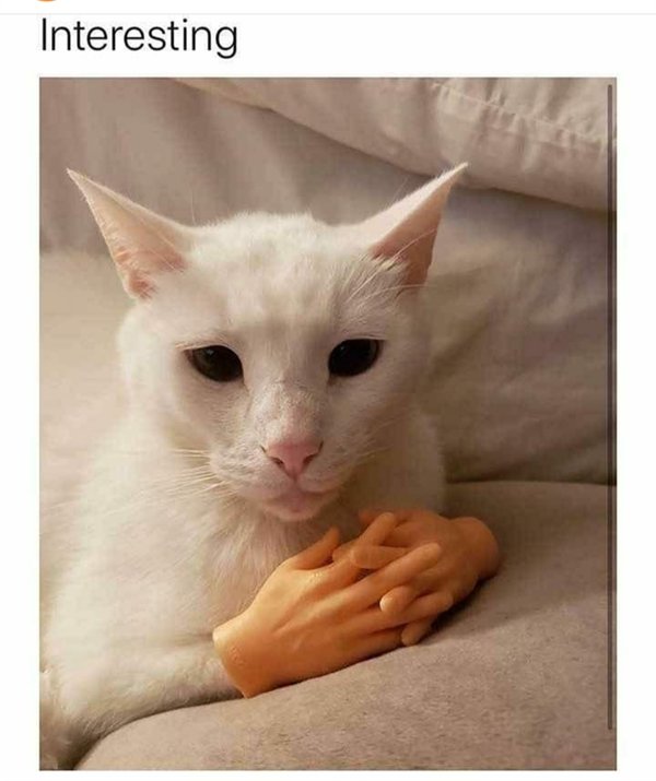 Random Funny Memes (25 pics)