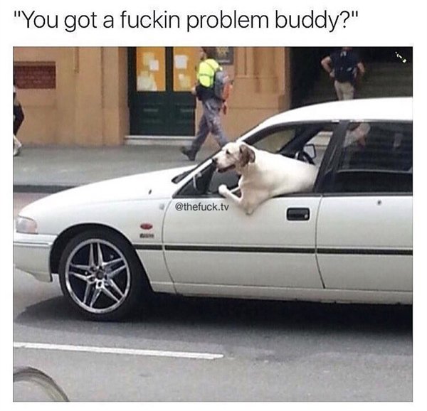Random Funny Memes (25 pics)