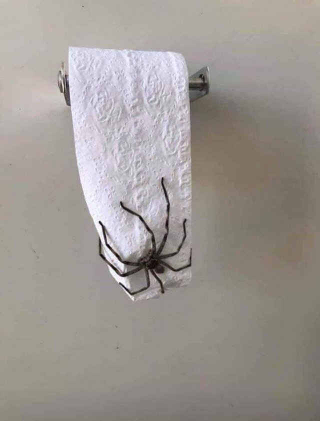 Acid Picdump. Part 1 (95 pics)