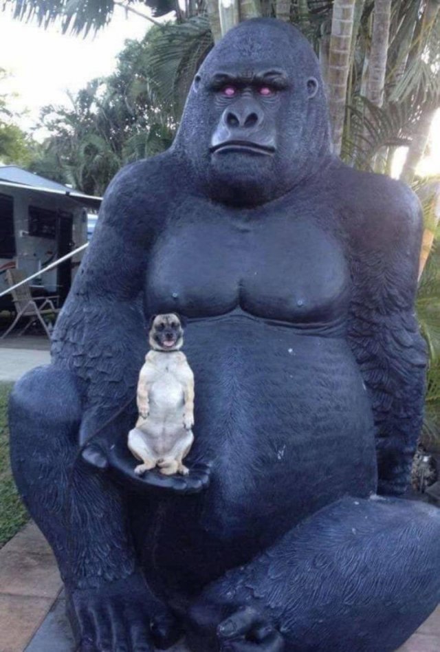 Acid Picdump. Part 1 (95 pics)