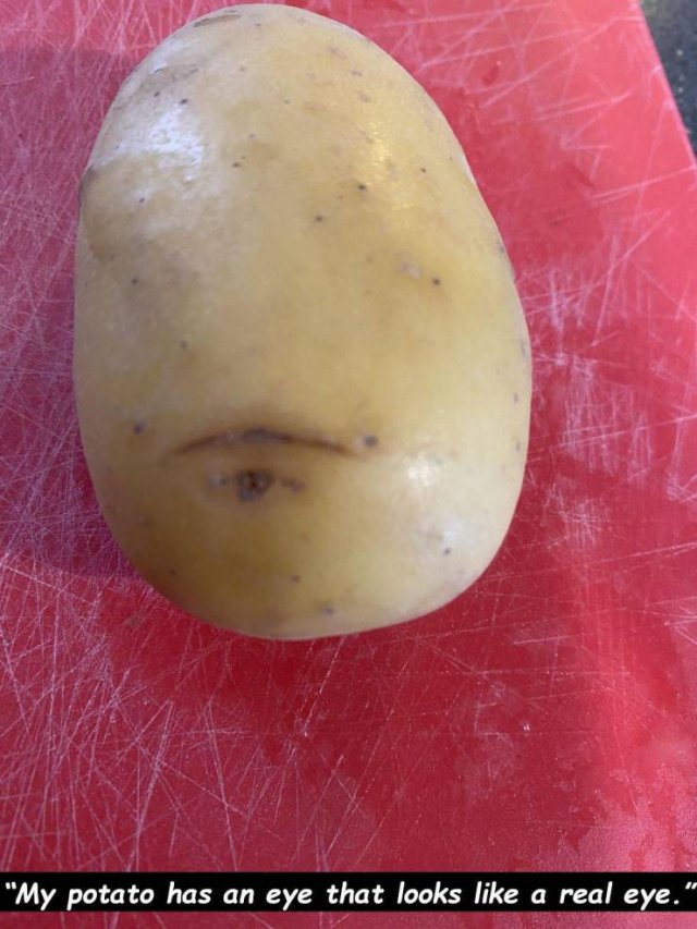 Acid Picdump. Part 1 (95 pics)