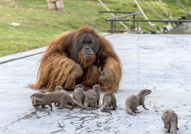 Acid Picdump. Part 1 (95 pics)