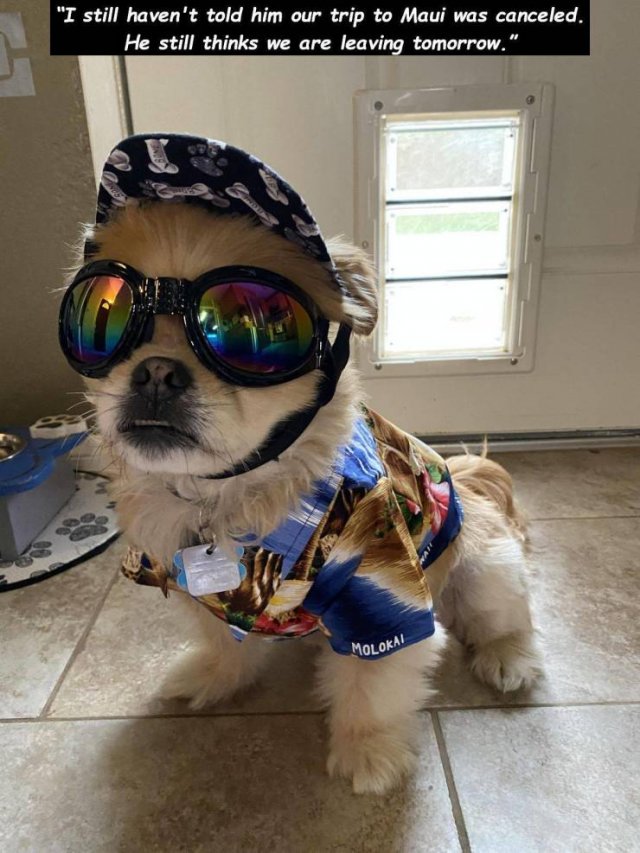 Acid Picdump. Part 1 (95 pics)