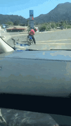 Acid Gifdump, March 30 (25 gifs)