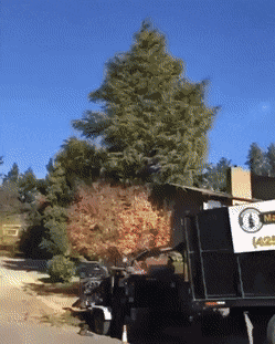Acid Gifdump, March 30 (25 gifs)