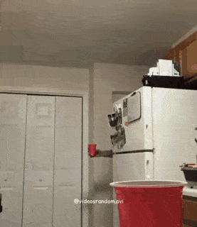 Acid Gifdump, March 30 (25 gifs)