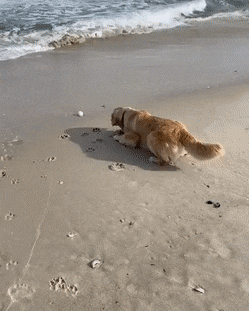 Acid Gifdump, March 30 (25 gifs)