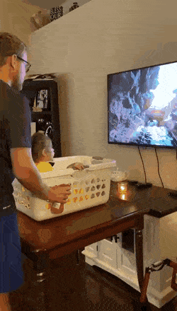 Acid Gifdump, March 30 (25 gifs)
