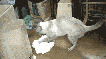 Acid Gifdump, March 30 (25 gifs)