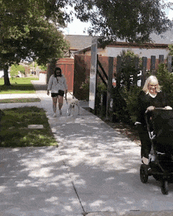 Acid Gifdump, March 30 (25 gifs)