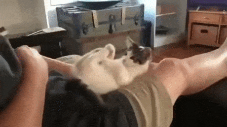 Acid Gifdump, March 30 (25 gifs)