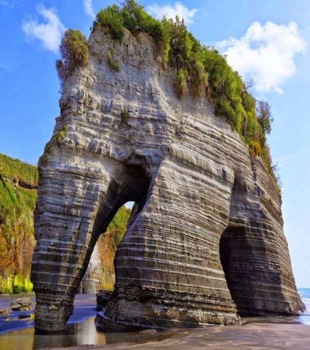 Awesome Pictures (50 pics)