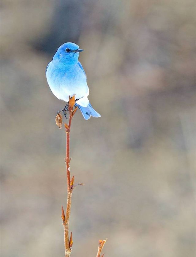 Awesome Pictures (50 pics)