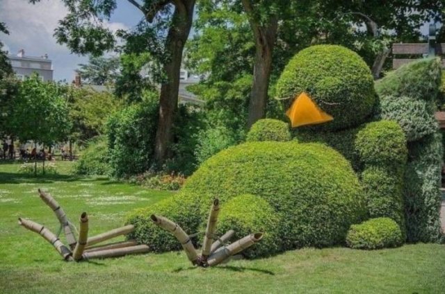 Awesome Pictures (50 pics)