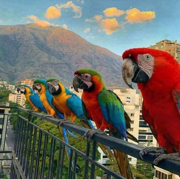Awesome Pictures (50 pics)
