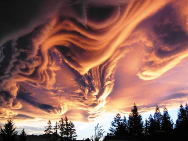 Awesome Pictures (50 pics)