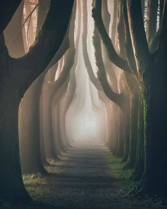 Awesome Pictures (50 pics)