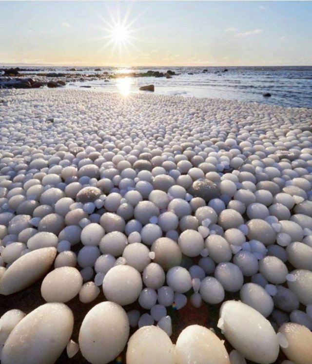 Awesome Pictures (50 pics)