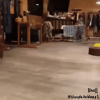 Acid Gifdump, March 31 (25 gifs)