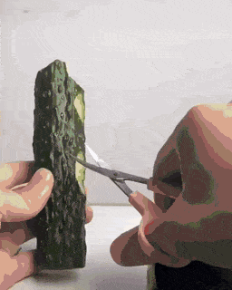 Acid Gifdump, March 31 (25 gifs)
