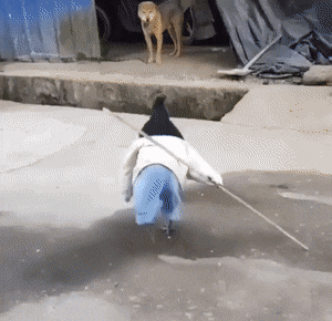Acid Gifdump, March 31 (25 gifs)