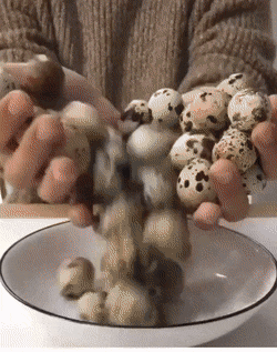 Acid Gifdump, March 31 (25 gifs)