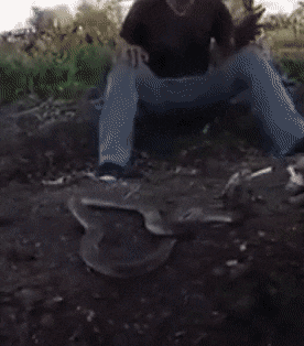 Acid Gifdump, March 31 (25 gifs)