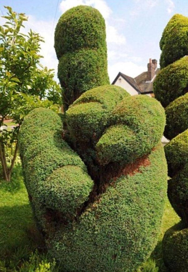 Dirty Humor (37 pics)