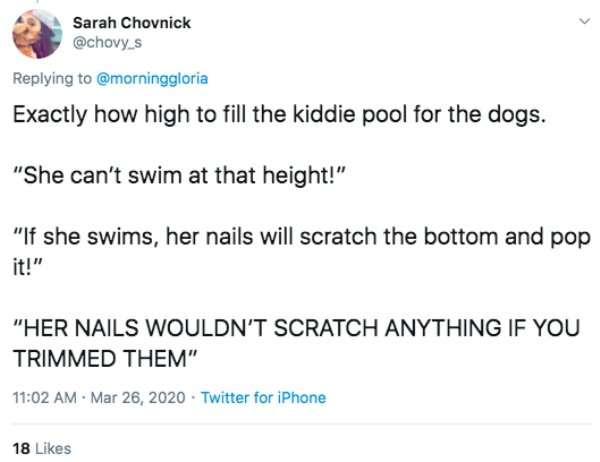 People Share The Dumbest Fights During Quarantine (21 pics)