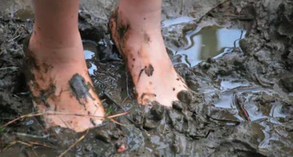 Bare Ankle Lovers Will Understand (15 pics)