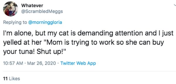 People Share The Dumbest Fights During Quarantine (21 pics)