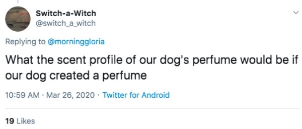 People Share The Dumbest Fights During Quarantine (21 pics)