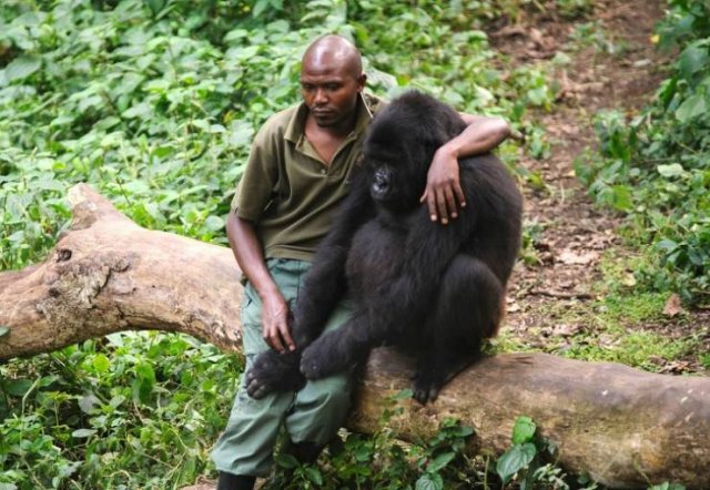People And Animals Need Each Other (21 pics)