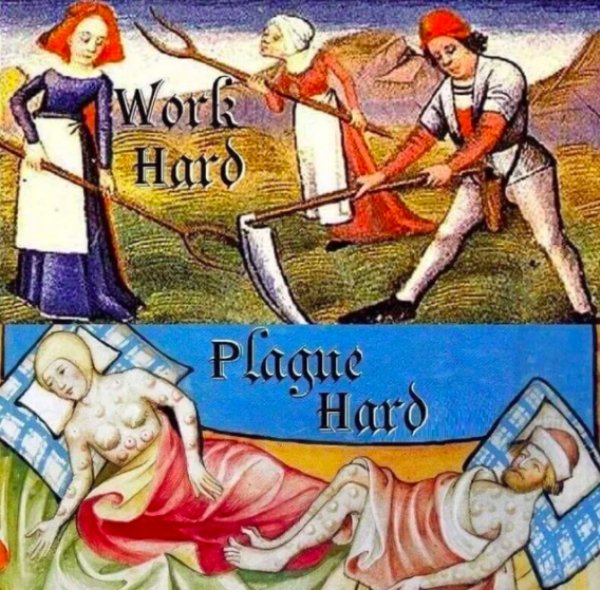 Medieval Memes (30 pics)