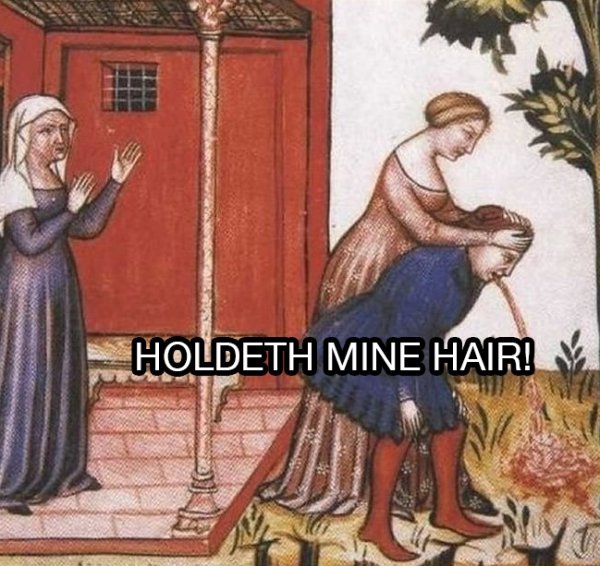 Medieval Memes (30 pics)