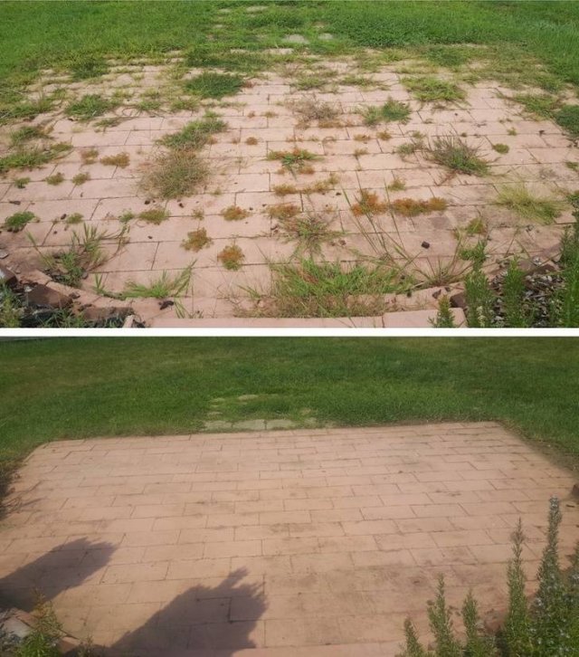 Great Decisions Of Common People (16 pics) Great Decisions Of Common People (16 pics)
