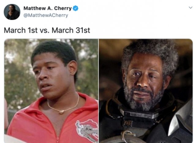 March Vs April Memes (25 pics)