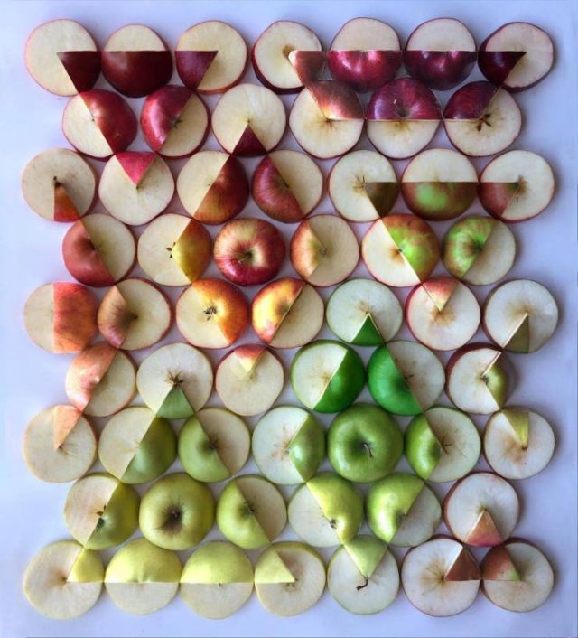 Perfection Is Possible (16 pics) Perfection Is Possible (16 pics)