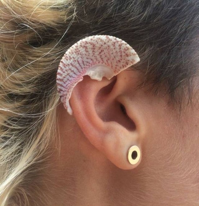 Perfection Is Possible (16 pics) Perfection Is Possible (16 pics)