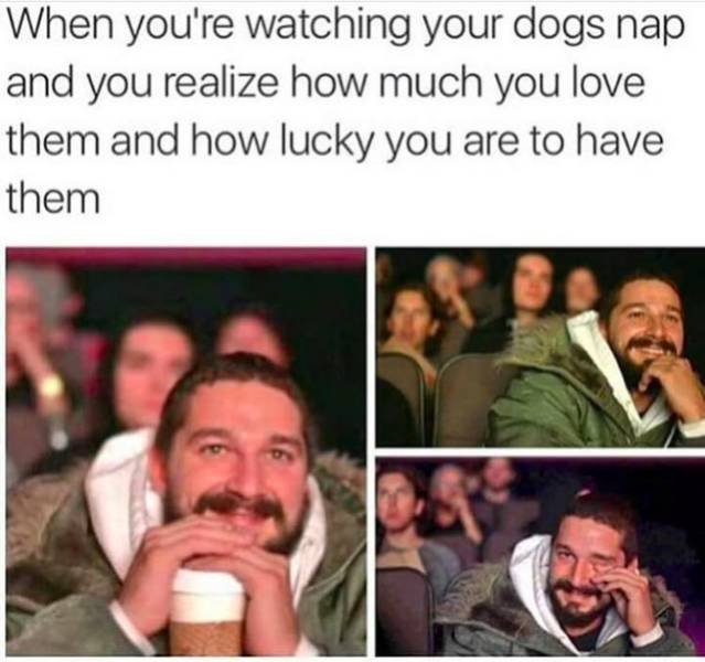 Wholesome Memes (37 pics)